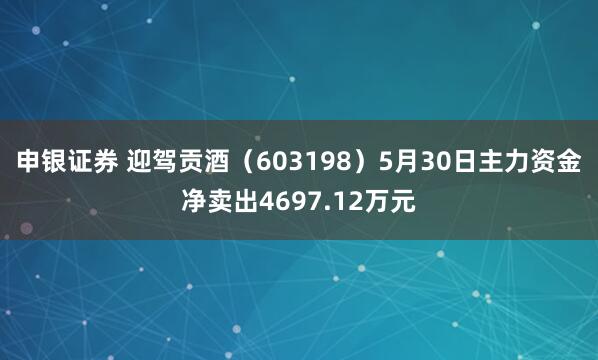 申银证券 迎驾贡酒（603198）5月30日主力资金净卖出4697.12万元