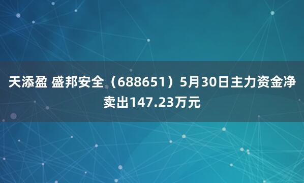 天添盈 盛邦安全（688651）5月30日主力资金净卖出147.23万元