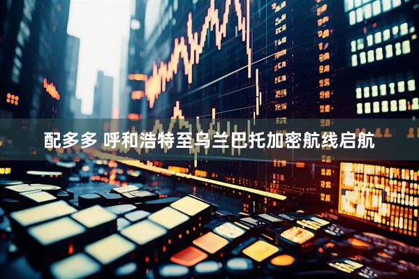 配多多 呼和浩特至乌兰巴托加密航线启航