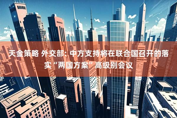 天金策略 外交部: 中方支持将在联合国召开的落实“两国方案”高级别会议