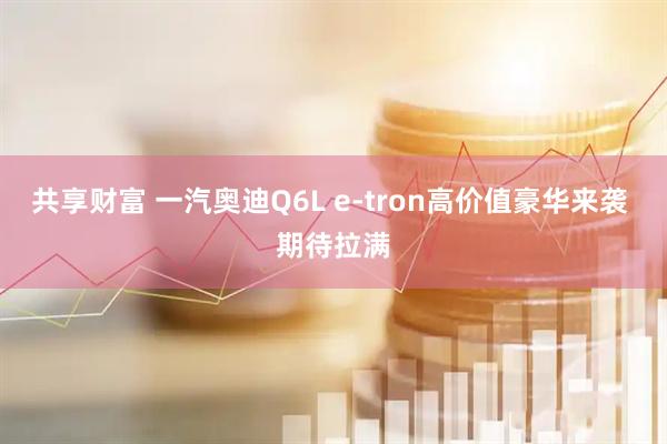 共享财富 一汽奥迪Q6L e-tron高价值豪华来袭 期待拉满