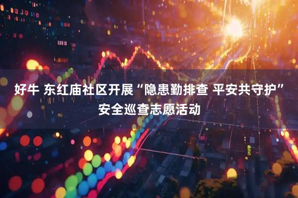 好牛 东红庙社区开展“隐患勤排查 平安共守护”安全巡查志愿活动