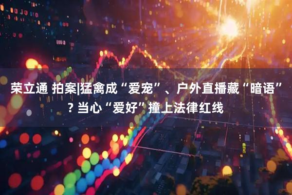 荣立通 拍案|猛禽成“爱宠”、户外直播藏“暗语”? 当心“爱好”撞上法律红线