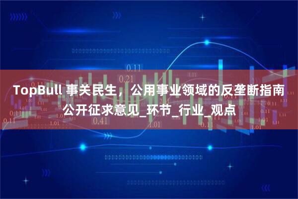 TopBull 事关民生,公用事业领域的反垄断指南公开征求意见_环节_行业_观点