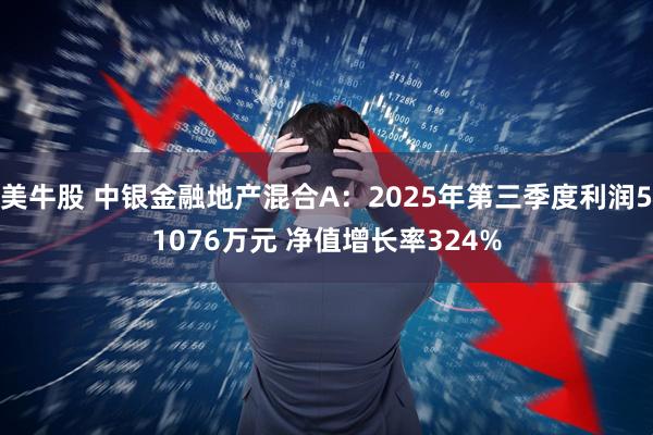 美牛股 中银金融地产混合A：2025年第三季度利润51076万元 净值增长率324%